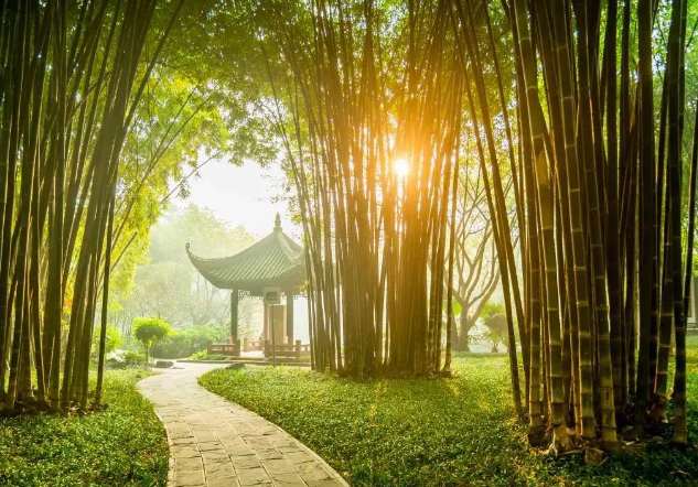 早起三不要,飯后三不急,睡前三不宜